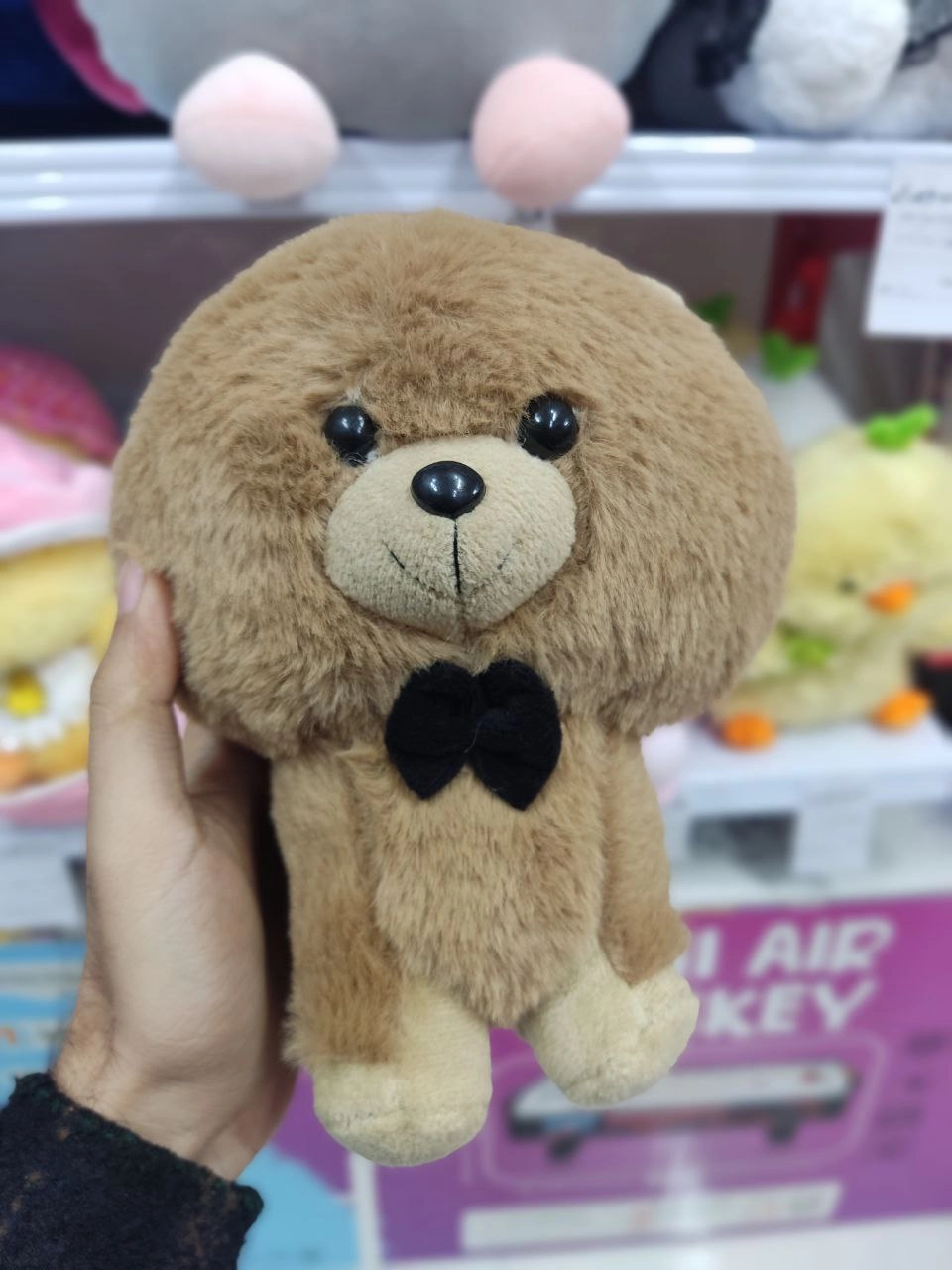 سگ خرسی پشمالو