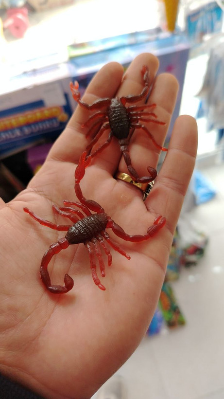 عقرب پلاستیکی