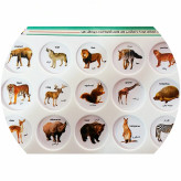 اسباب بازی فکری هوش چین 3 تکه پازل فکری