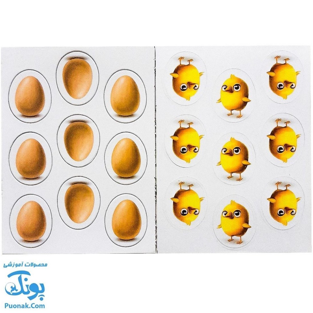 بازی فکری مرغ دونی مناسب کودک و نوجوان